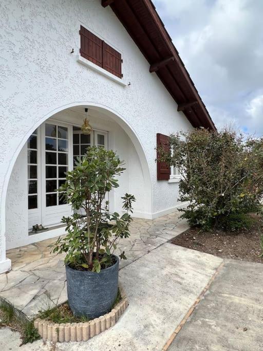 Agreable Maison Landaise Proche Du Lac Sanguinet Eksteriør billede